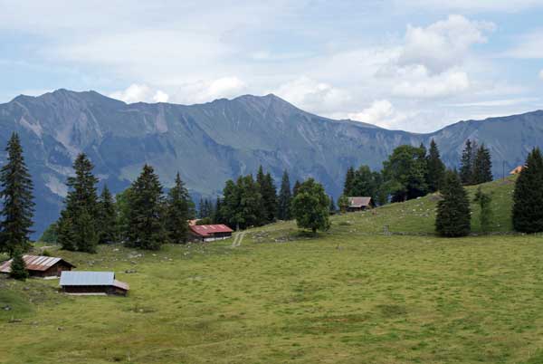 alpenwelt_2.jpg