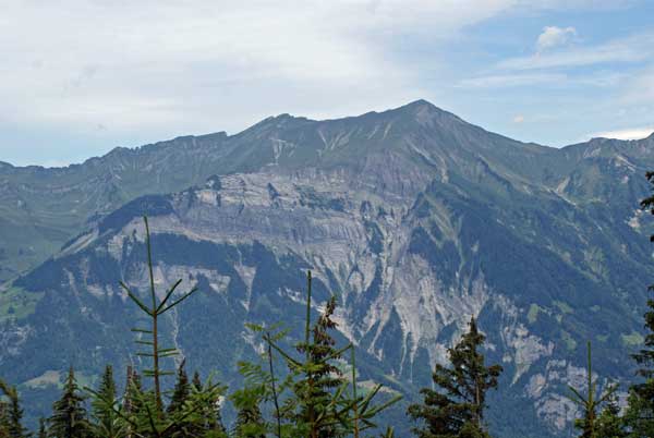 aussicht_2.jpg - Herrlicher Ausblick