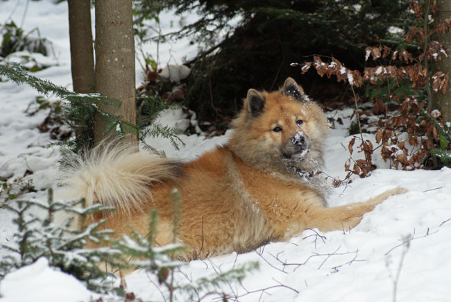 26_schneegesicht.jpg - Kleine Pause