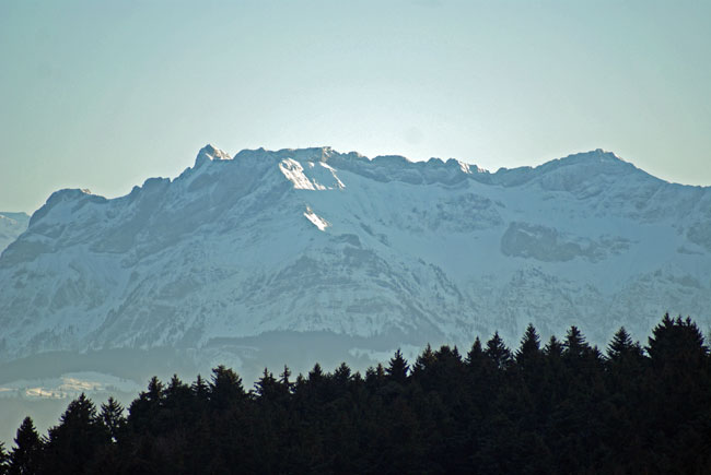 31_baumwipfel.jpg - Blick über die Baumwipfel