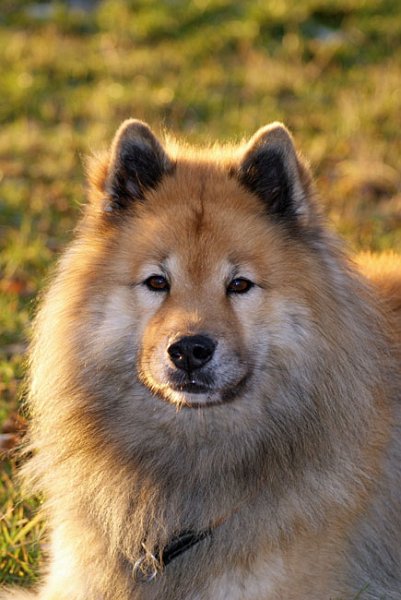 48_vorne.jpg - Schöne Portraitaufnahme