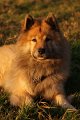55_frontal_liegend