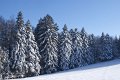 DSC06959