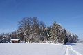 DSC06960