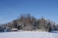 DSC06980