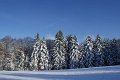 DSC06981
