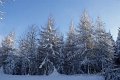 DSC06988