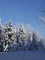 DSC06989