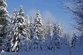 DSC06990
