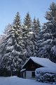 DSC06996