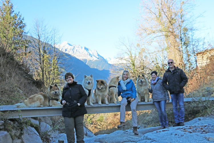 IMG_5780.jpg - Es war ein wunderbarer Tag im Kreise unserer Eurasierfreunde.