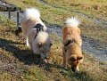 IMG_5502