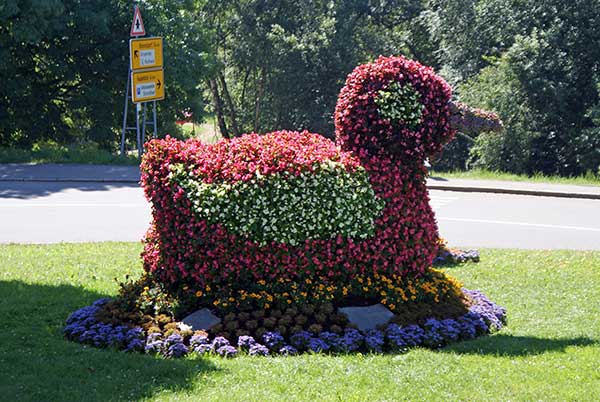 blumenente.jpg - Was in Höchenschwand mit Stroh gezaubert wurde, findet sich in Schluchsee in Blütenform