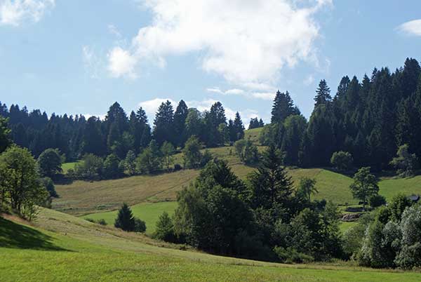 landschaft1.jpg - ... die herrlich reine Luft war eine wahre Wohltat