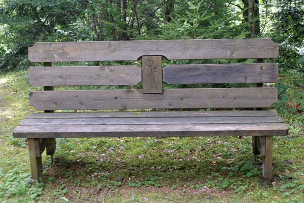 noeggenschwiel_rosenbank.jpg - Nach dem steilen Aufstieg kommt die Bank gerade richtig