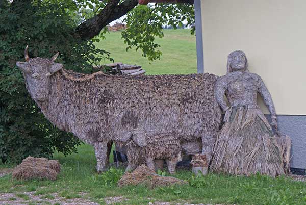 schinkenweg_strohrinder.jpg - Bäuerliche Szene in Stroh umgesetzt