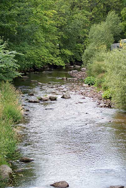 stblasien_alb.jpg - Die Alb fliesst mitten durch St. Blasien