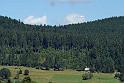 schwarzwald2