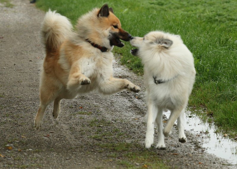 IMG_3886.jpg - Sie liebt es, mit ihrer Mama zu spielen