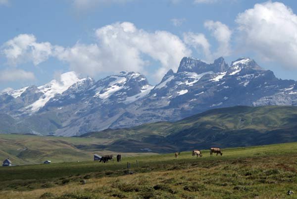 aussicht_2.jpg - Herrliches Bergpanorama
