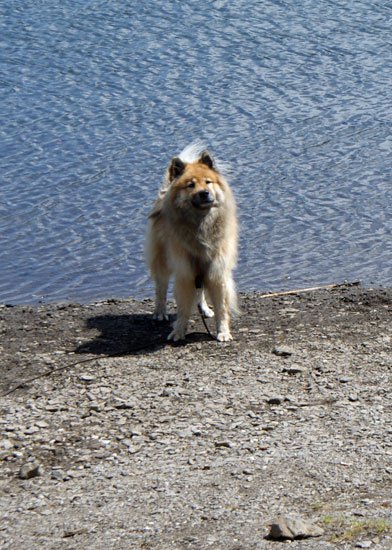 legro_melchsee.jpg - Teil 2 der Wanderung: Rund um den Melchsee