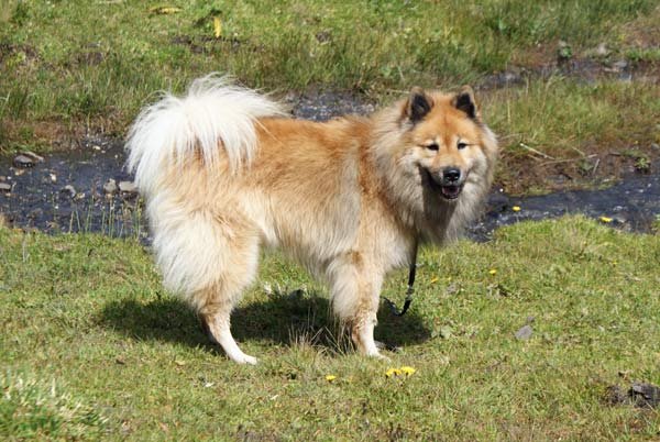 legro_pose.jpg - Kann ich hier abkühlen?