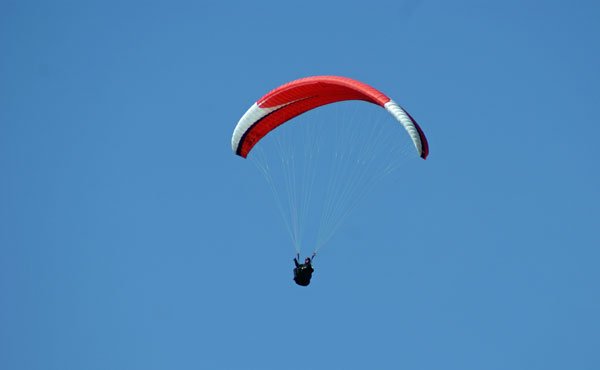 springer.jpg - Adrenalin-Hobby?