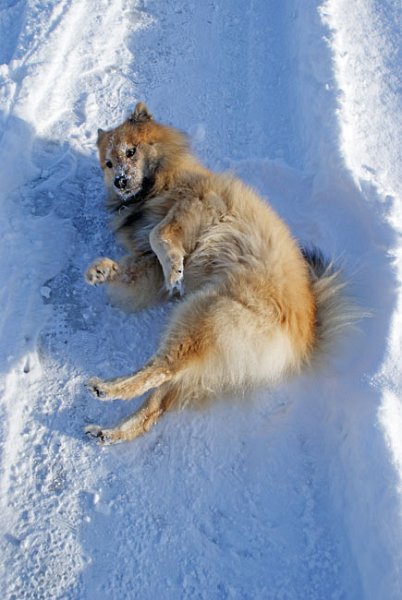 18_legro_schneespass.jpg - Wintervergnügen pur