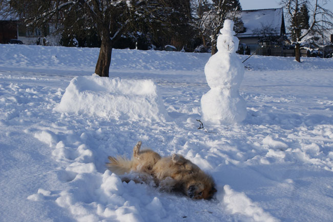 26_schneebank.jpg - Kunstvoll: Schneebank mit Schneemann - Legro geniesst den Schnee lieber anders...