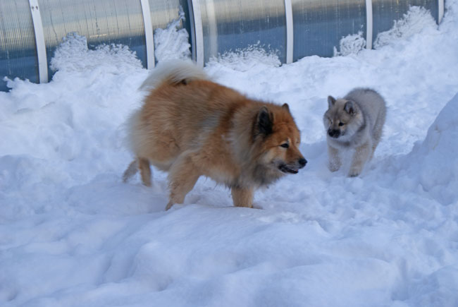 38_legro_gwen.jpg - Legro und Gwen
