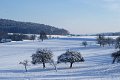 11_winter_gerlikon