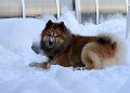 IMG_9783.neu.klein
