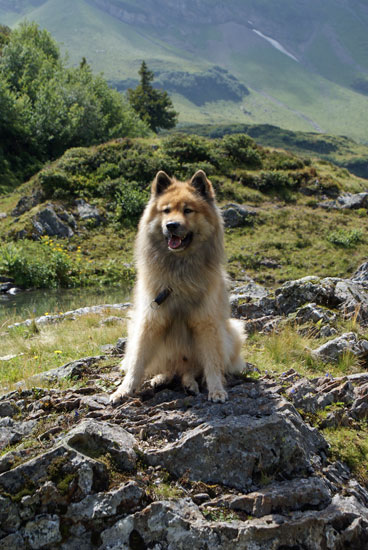 legro_pose_3.jpg - Na gut, eines noch, dann gehen wir aber weiter!