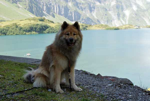legro_truebsee_1.jpg - Legro posiert