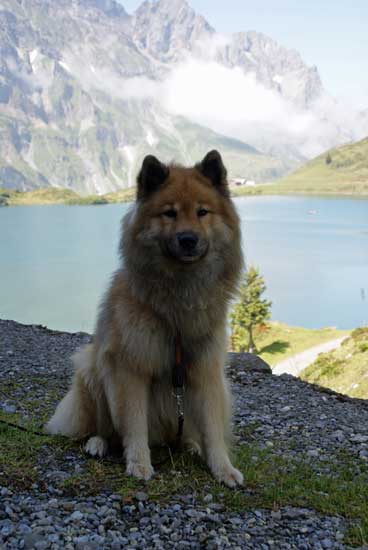 legro_truebsee_2.jpg - Postkartenhintergrund