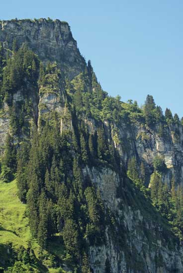 sicht_aus_gondelbahn.jpg - Sicht aus der Gondelbahn