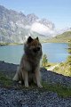 legro_truebsee_4