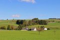 IMG_4111