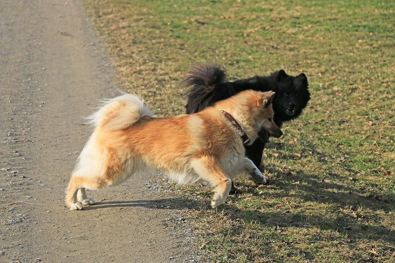 IMG_2248.jpg - Okelani und Finn