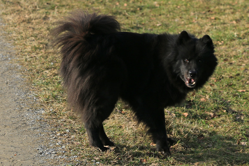 IMG_2250.jpg - Finn mit knapp 10 Jahren