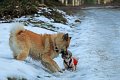 IMG_2638