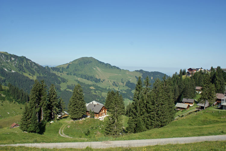 26_blick.jpg