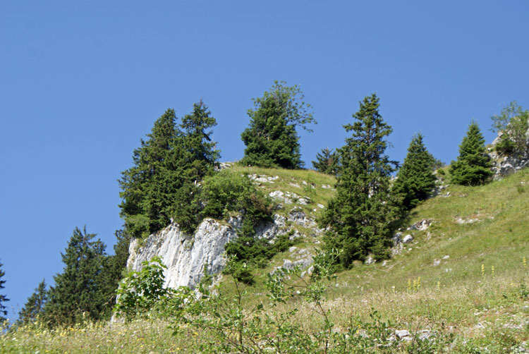 34_flora.jpg - Wunderbare Landschaft