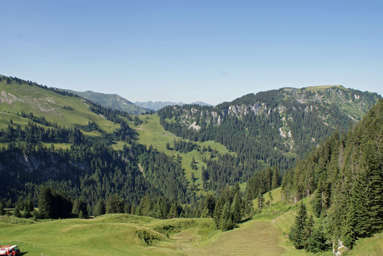 38_landschaft.jpg - Grüne Alpenwelt