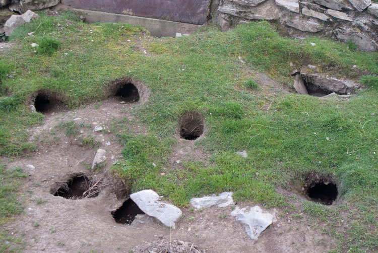 3_bauten.jpg - Tunnellabyrinth im Murmeli-Gehege