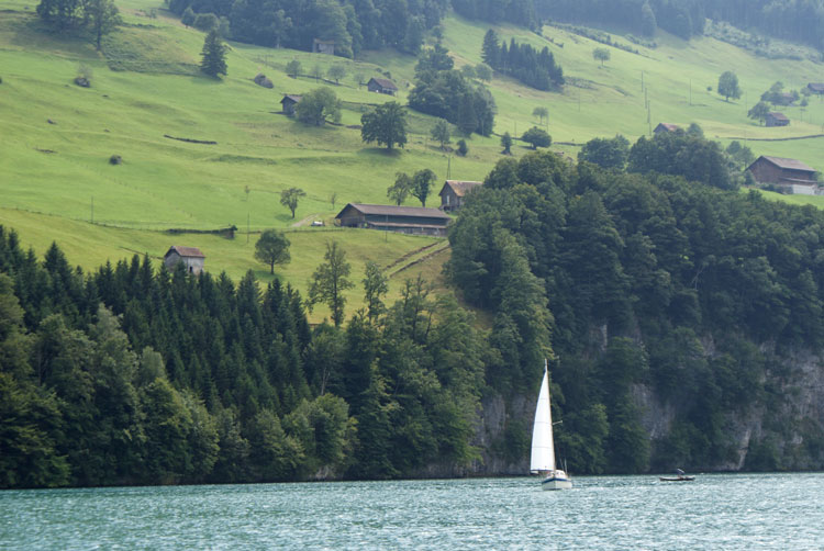 60_ufersicht.jpg - Das Kursschiff "Stadt Luzern" brachte uns via Gersau nach Beckenried.