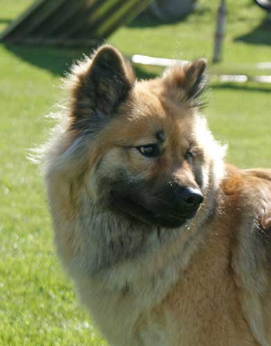 olyn10.jpg - Ein richtiger "Jööh-Blick"