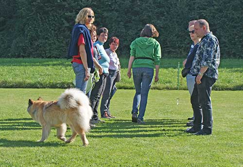 olyn11.jpg - Ein Teil des Wesenstests ist die Personengasse, durch die der Hund mit seinem Führer gehen soll