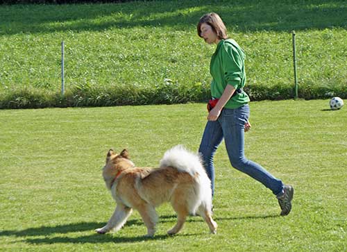 olyn8.jpg - Olyn und Frauchen sind unterwegs auf dem Parcours