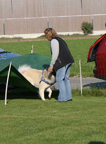 onyx7.jpg - Hoppla, da hat Onyx die Blache wohl mit einem Trampolin verwechselt